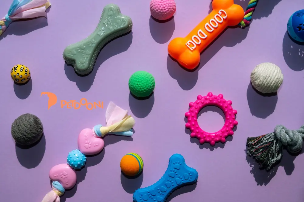 6 نکته مهم برای خرید اسباب‌بازی سگ که هر صاحب سگی باید بداند | پت‌شاپ آنلاین پتدونی