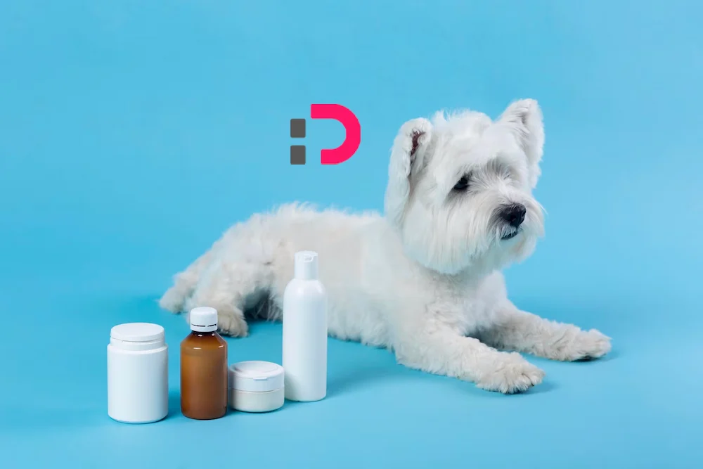راهنمای خرید انواع محلول ضدعفونی سگ و گربه | پت‌شاپ آنلاین پتدونی 1404