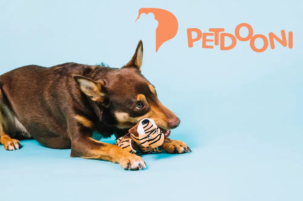 مزایای استفاده از عروسک بازی سگ برای سلامت روان و رفتار آن | پت شاپ آنلاین پت دونی 1404