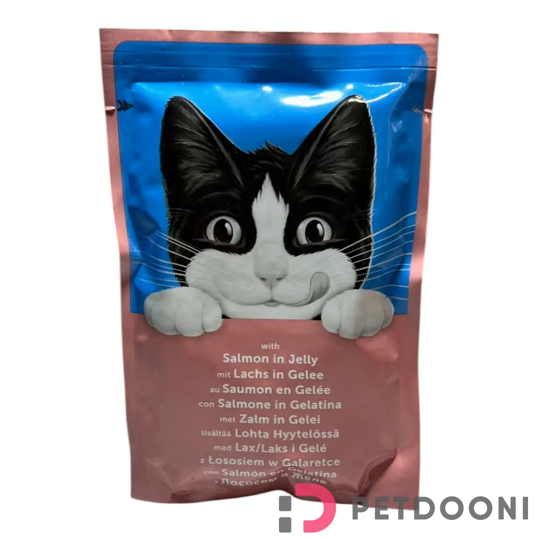 پوچ گربه فلیکس با طعم ماهی سالمون در ژله وزن 85 گرم