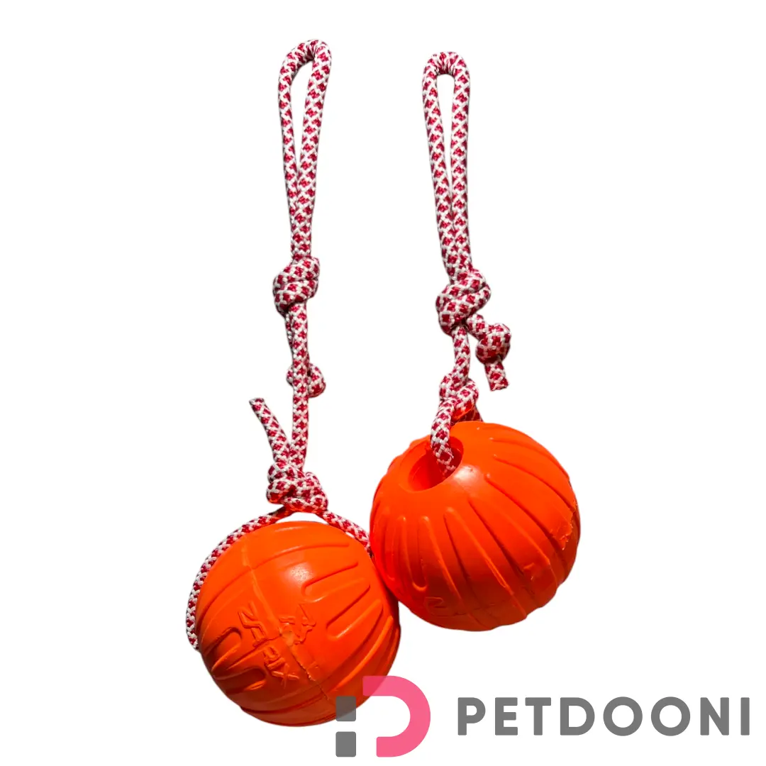 توپ آموزشی فومی شیاردار زاریکس سایز XL