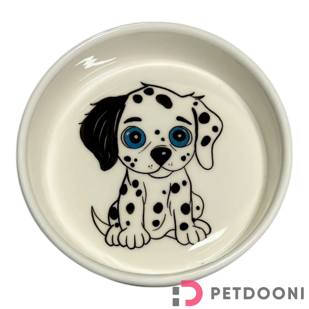 ظرف آب و غذا سرامیکی Zima Art سایز M