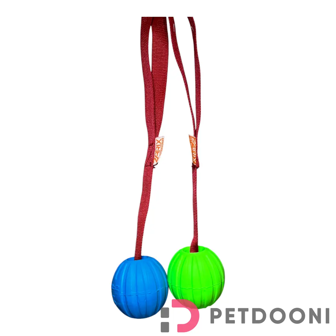 توپ آموزشی فومی شیاردار زاریکس سایز L