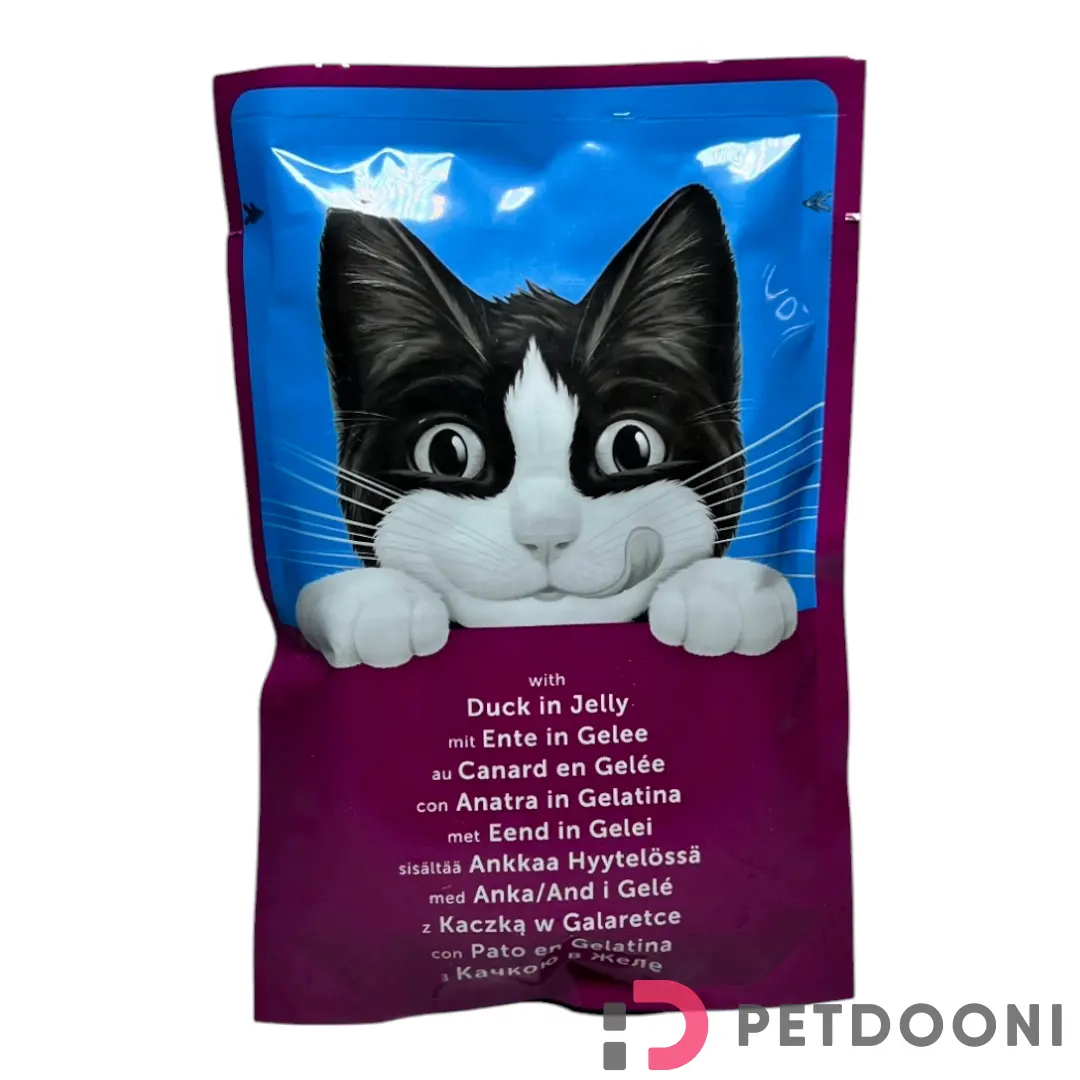 پوچ گربه فلیکس با طعم اردک در ژله وزن 85 گرم